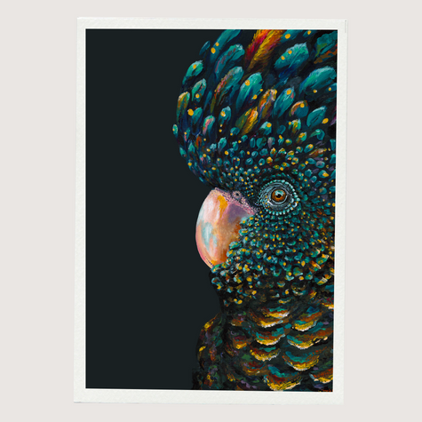 Black Cockatoo - Art Print