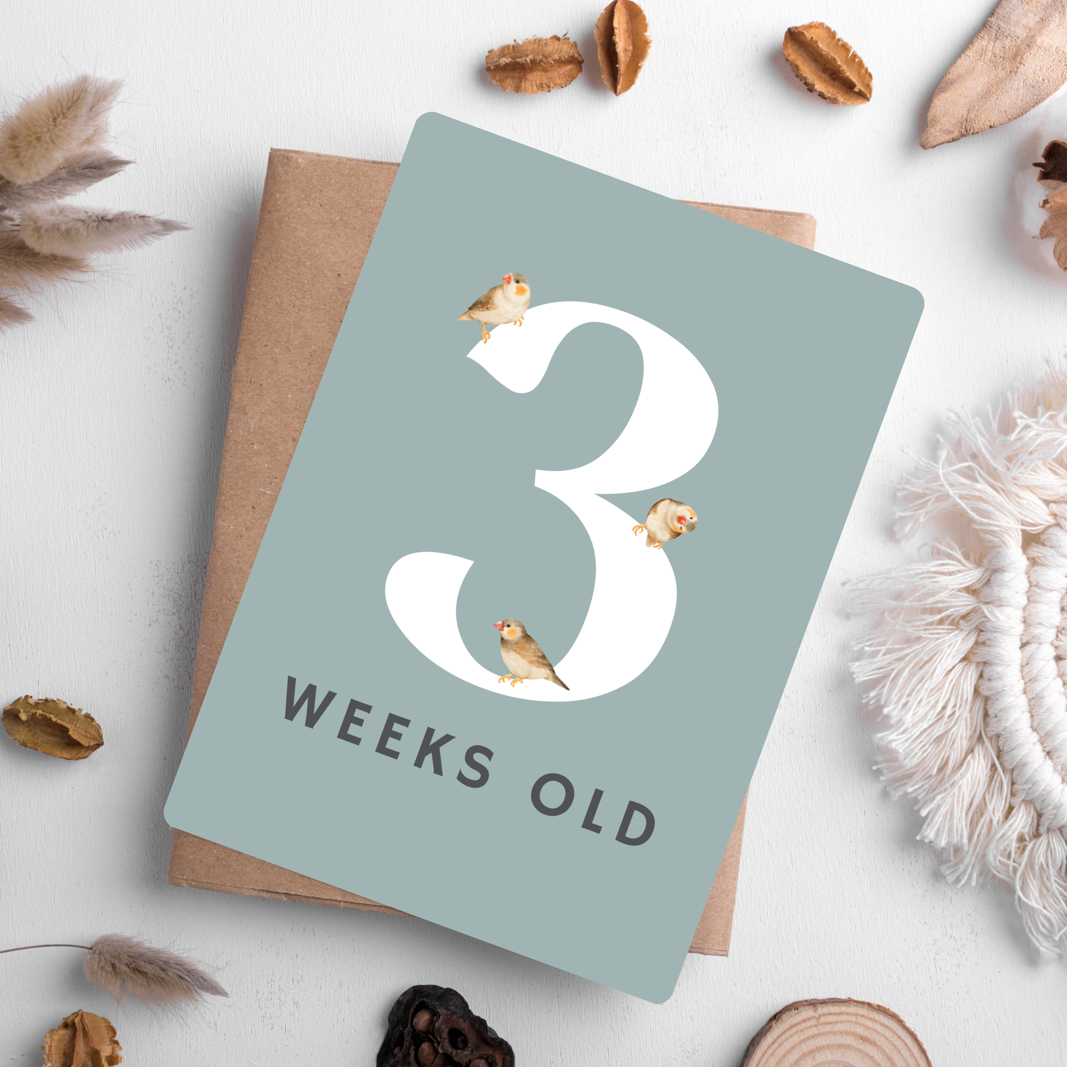 Baby Milestone Cards (Aussie Animals Edition)
