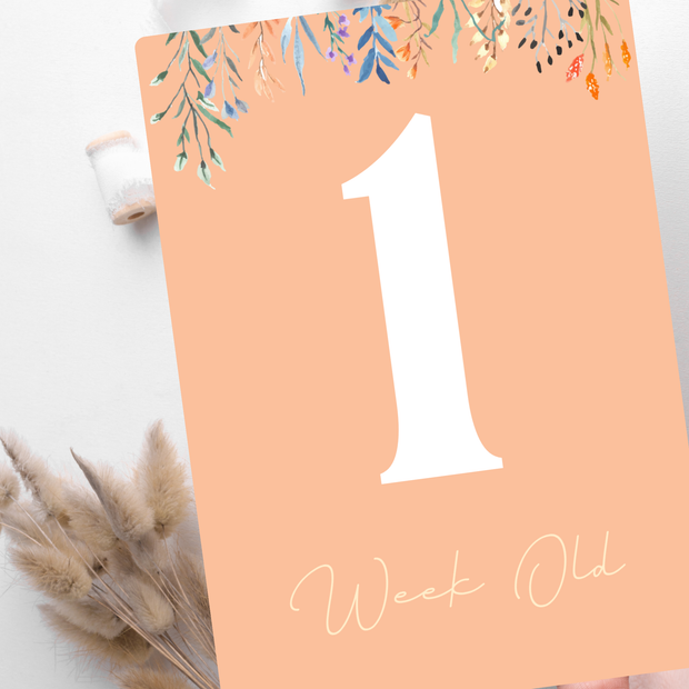 Baby Milestone Cards (Peach Fuzz Edition)